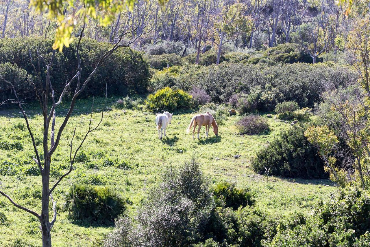 شقة Casita Rural En Centro De Hipica طريفة المظهر الخارجي الصورة